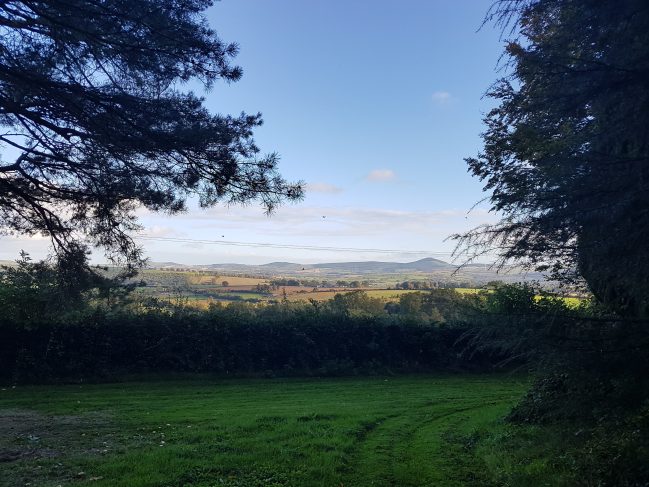 Shillelagh scenery
