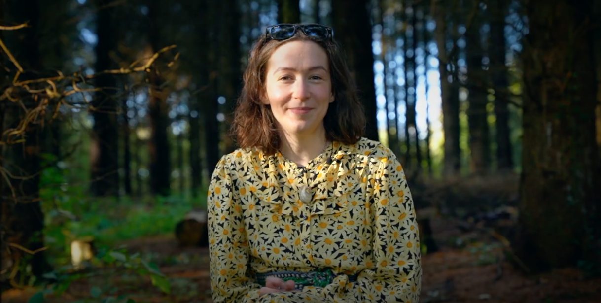 Riona Navigator forest image