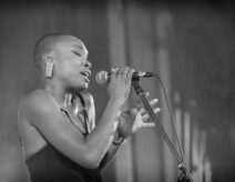 Dana Masters 4 DWJ 21