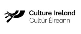 Understanding culture ireland banner