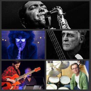 BIRD Collage IMG 6405