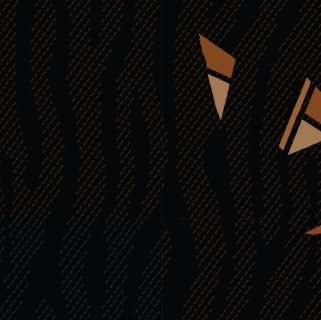 AFROBEAT web header bg