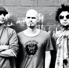 Trio VD