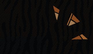 AFROBEAT web header bg