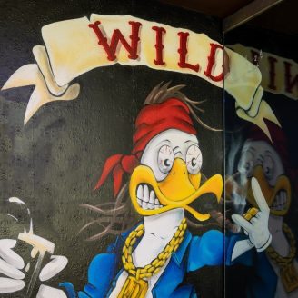 Wild duck sunday social club