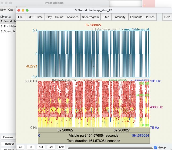 Patrick stefan navigator process2