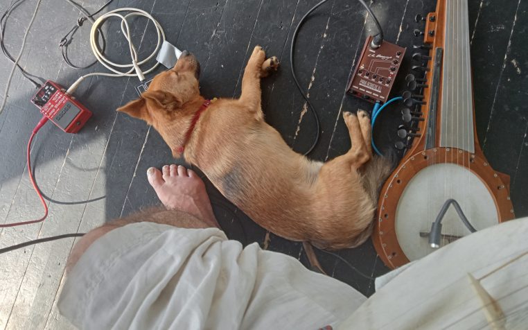 Mattew noone instruments dog web res